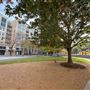 Victory Park