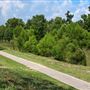 Buffalo Bayou Park