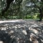 Buffalo Bayou Park