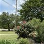 Memorial Park