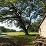 The Oaks of Anahuac