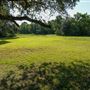 The Oaks of Anahuac