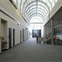 Vivaverse Campus