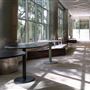 Vivaverse Campus