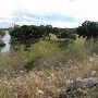 Enchanted Springs Ranch