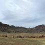 CF Ranch