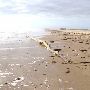 Boca Chica Beach & Dunes
