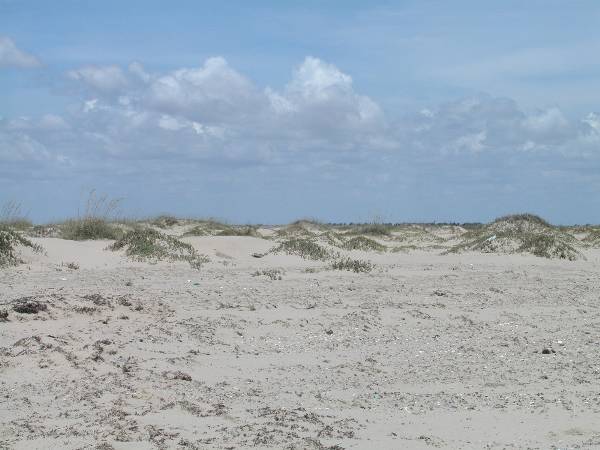 Boca Chica Beach & Dunes (6/13/2002)