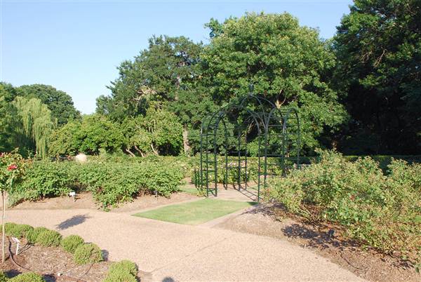 Fort Worth Botanic Garden - Rose Garden (5/16/2012)