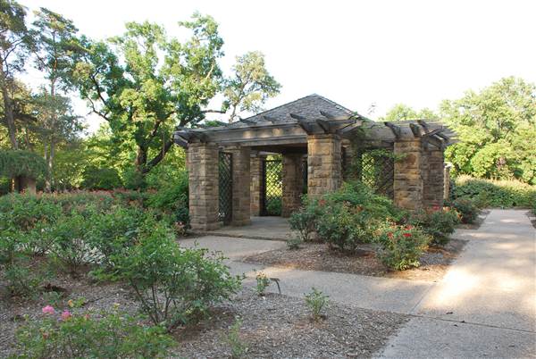 Fort Worth Botanic Garden - Rose Garden (5/16/2012)