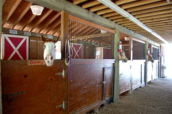 JR Stables (8/22/2012)