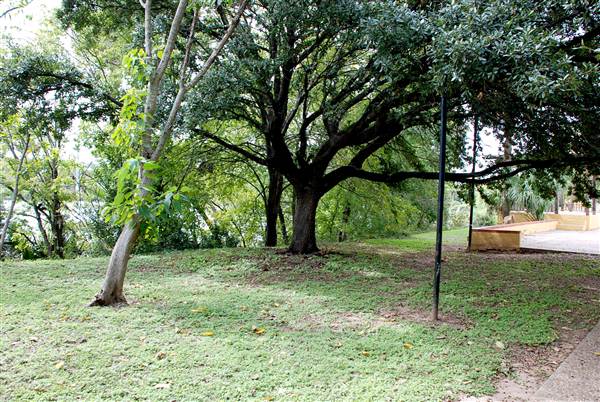 Fiesta Gardens (10/16/2012)