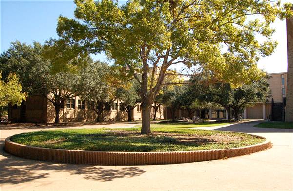 Texas A&M University (10/24/2012)