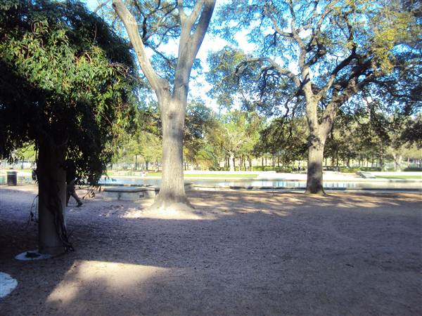 Japanese Garden in Hermann Park (3/7/2013)