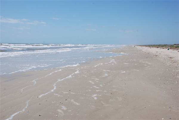 Matagorda Island (4/4/2013)