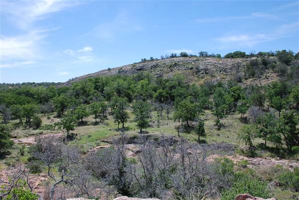 The Sandy Ranch (5/4/2013)