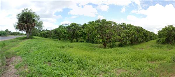 Loop Farms Inc (9/25/2014)