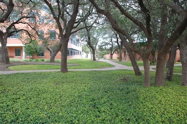 Trinity University (10/22/2014)
