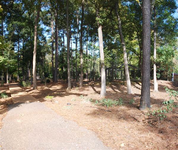 Gayla Mize Garden (11/11/2014)