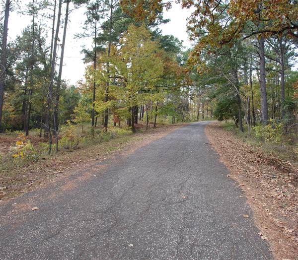 Davey Dogwood Park (11/13/2014)