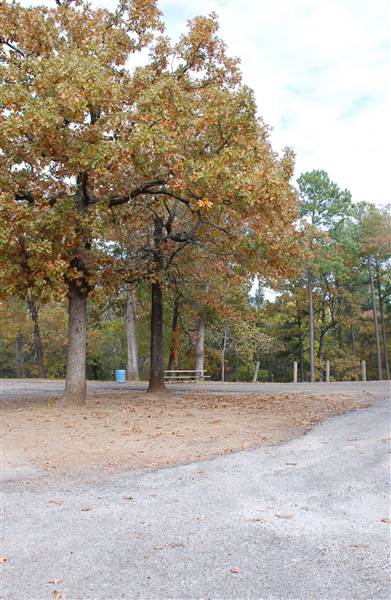 Davey Dogwood Park (11/13/2014)