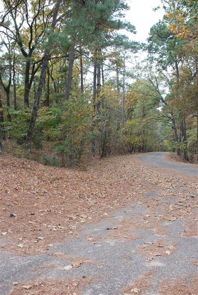 Davey Dogwood Park (11/13/2014)