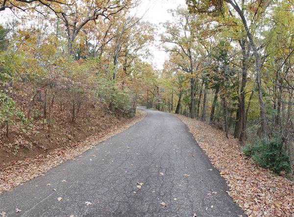 Davey Dogwood Park (11/13/2014)