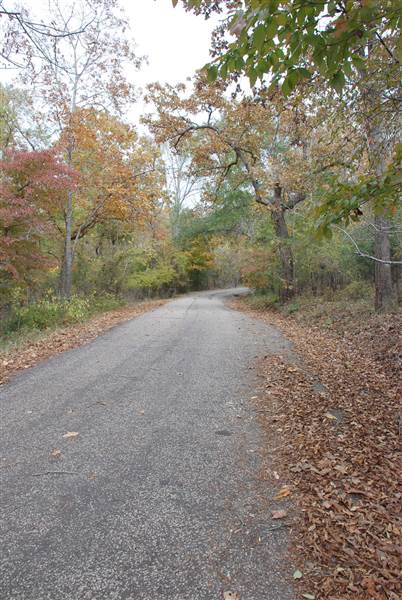 Davey Dogwood Park (11/13/2014)