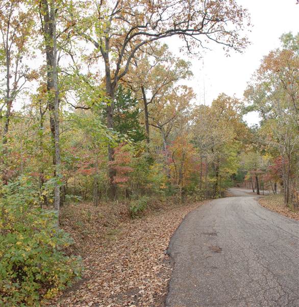 Davey Dogwood Park (11/13/2014)