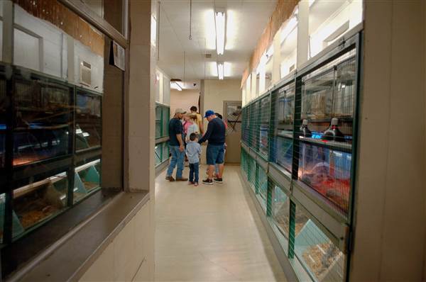 Animal World and Snake Farm (1/19/2015)
