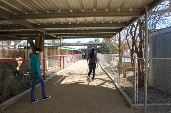 Animal World and Snake Farm (1/19/2015)