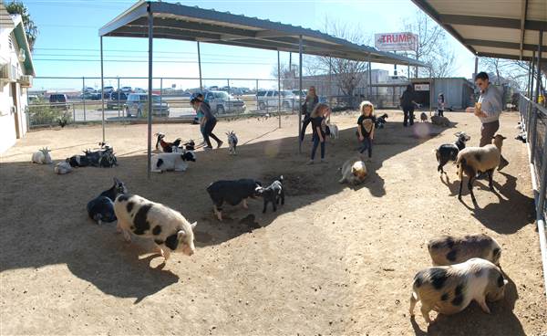 Animal World and Snake Farm (1/19/2015)
