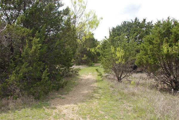 Cedar Hill State Park - Talala Trail (4/15/2015)