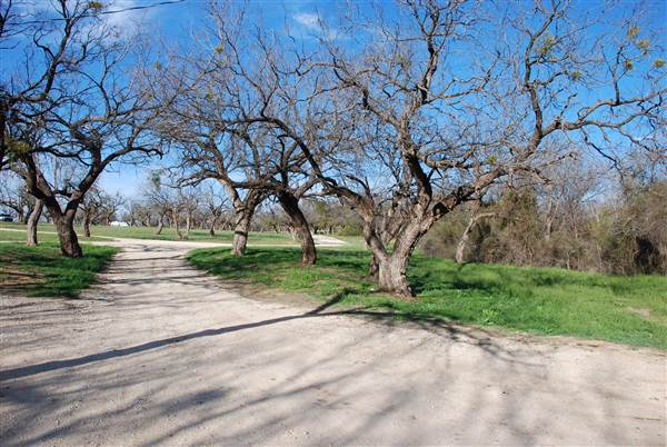 Lake Sweetwater Municipal Park (3/25/2015)