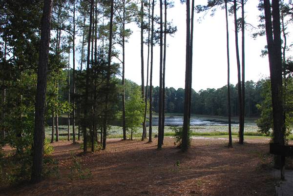 Faulkner Park (10/7/2015)