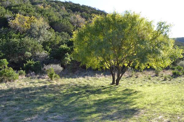 Madrone Ranch (11/12/2015)