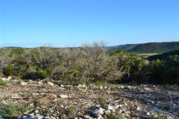 Madrone Ranch (11/12/2015)