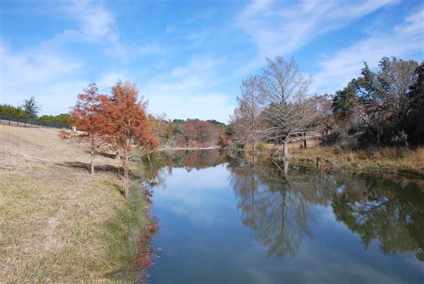 Henly Hill Ranch (1/8/2016)