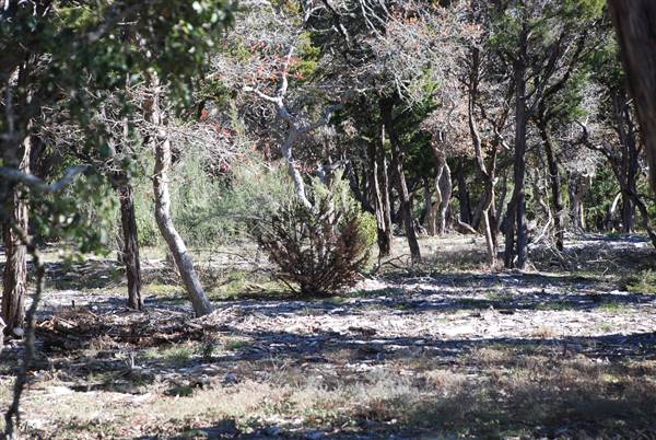Henly Hill Ranch (1/8/2016)
