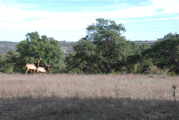 Longhorn River Ranch (12/9/2015)