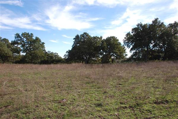 Longhorn River Ranch (12/9/2015)