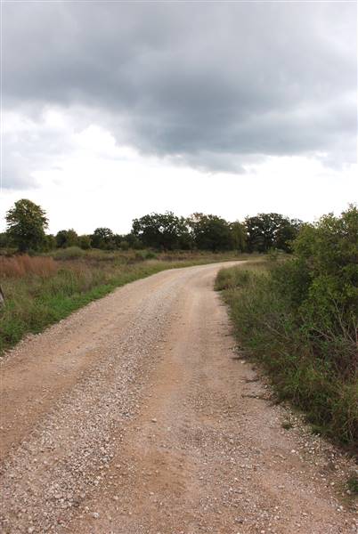 McKinney Roughs Nature Park (11/5/2015)