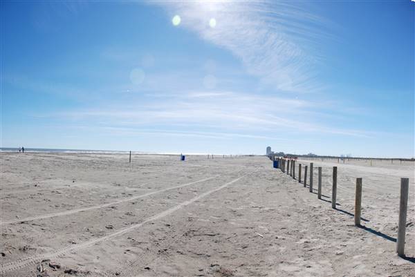 East Beach (2/16/2016)