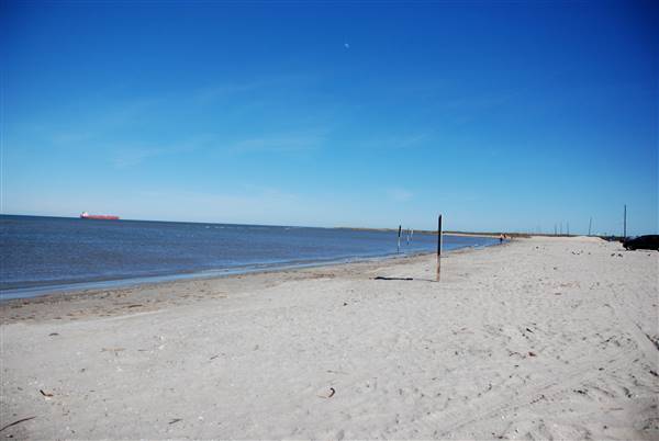East Beach (2/16/2016)