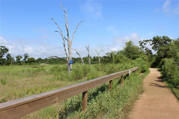 Seabrook Hike & Bike Trails (6/16/2016)