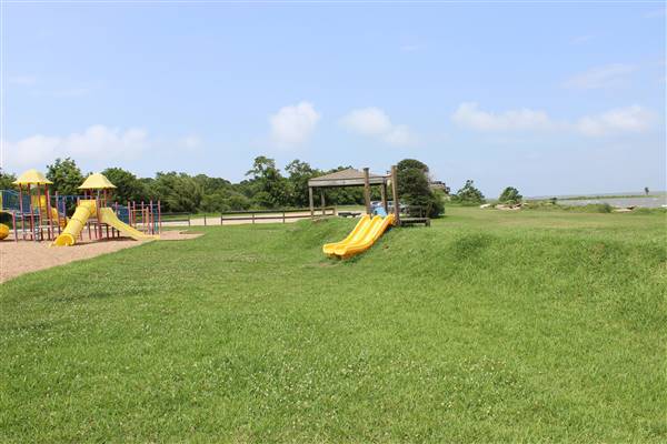 Pine Gully Park (6/16/2016)