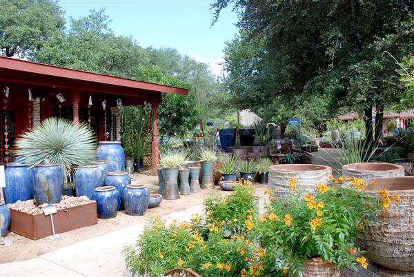 Hill Country Water Gardens & Nursery (8/11/2017)