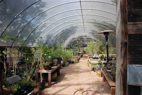 Hill Country Water Gardens & Nursery (8/11/2017)