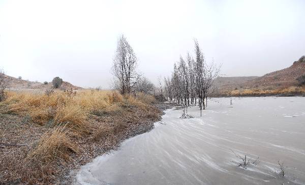 Mendota Ranch (12/13/2007)