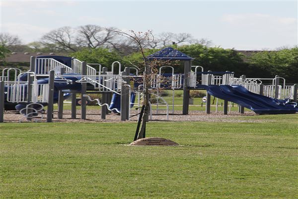 Peplow Park (1/29/2018)